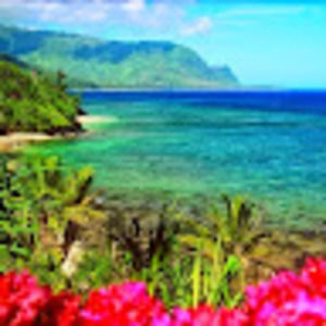 Meet your Posher, Marleny